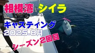 シイラのオフショアキャスティングゲーム。ソルトペンシル　ドラドジャーク