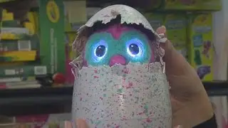 This Year's Hottest Christmas Toy is Sold Out Everywhere