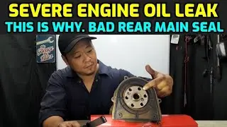 SEVERE ENGINE OIL LEAK? CHECK THE REAR MAIN SEAL