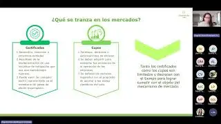 Mercados de Carbono en Colombia - LHSA (28 de mayo de 2025)