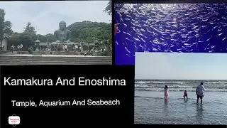 Easy Day Trip to Kamakura & Enoshima | Tokyo&rsquo;s Coastal Town | Enoshima Aquarium | Japan Travel Guide