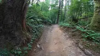 Walker Valley ORV - Jam Trail on an &lsquo;84 Big Red