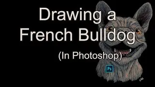 Timelapse Drawing a French Bulldog