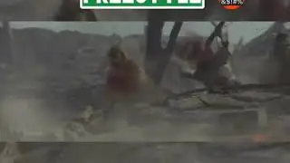 Dollarmentary Freestyle 🤬🤬🤬🤬🔥🔥