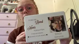 Remembering my dog Mack