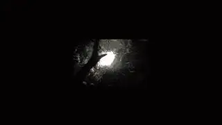 midnight.solitude [ᴀʟᴛᴇʀɴᴀᴛɪᴠᴇ]