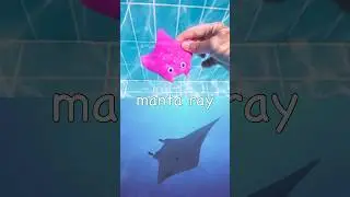 Тони или плыви | Учим названия морских животных в бассейне для детей: манта, тюлень, акула, дельф...