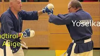 Yoseikan Budo Clip0111