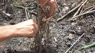 How to Build Survival Fire (Teepee)