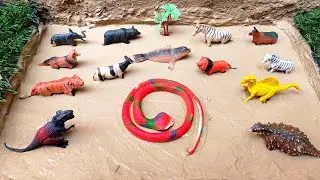 Cleaning toy animal elephant, dinosaur, zebra, fox, tiger, cobra, panda, lion, zebra - Animal Toys 