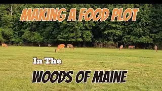 Creating A Whitetail Deer Food Plot pt2/ Kioti CK 3510se Tractor With Grapple And Backhoe