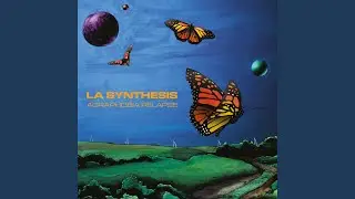 Agraphobia (Plaid Remix)