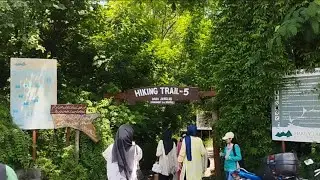 Trail 5 Awaits: A Refreshing Morning Drive Through Islamabad , Lush green road scenes