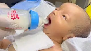 Learn How to Feed a Newborn | Safe & Gentle Feeding Guide 🍼👶 #NewbornCare #babyfeeding 