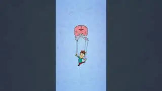 What if the corpus callosum of the brain is removed? #Brains #Neuron #MeetArnold