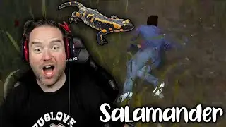ANGRYPUG Encounters a Salamander Dwight