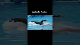 Justice for Jessica 💔🖤🥹|subscribe for Jessica ❤️💔🖤
