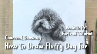 Step-by-Step Charcoal Drawing: How to Sketch Dog Fur