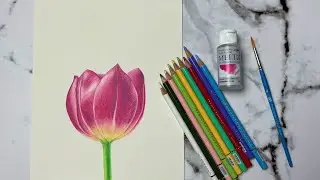 Holbein Artist Colored Pencils | June 2021 Paletteful Packs Demo