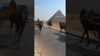 #Instagram #giza #pyramids #cairo #reels #facebook #youtube #shorts #ytshorts #egypt #tum
