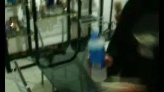 Don Pijote de La Manchota