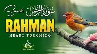 Perfect Quran Recitation By Sheikh Bilal Fazal Of Surah Ar Rahman | Daily Quran Btv
