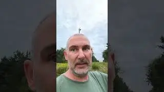 Nawłoć jest rośliną mocno inwazyjną.