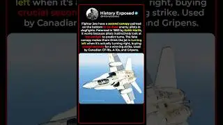 Why Fighter Jets Have Fake Cockpits Painted Underneath 🛩👀