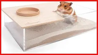 Quality product -  Niteangel Animal Sand-Bath Box: - Acrylic Critter's Sand Bath Shower Room & Diggi
