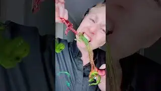 Rawr Taste the Dragon 🐉 #rawr #dragon #gummy
