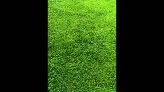 Expandable garden hose pipe as seen on tv