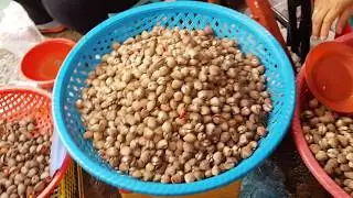 Asian Street Food, Sihanouk Ville Market Sea Food, Street Food VDO#2018