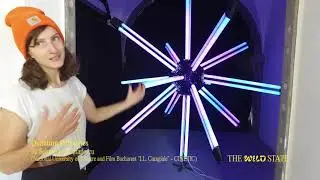 The Wild State Expert Tours / The Wild State: networked, Interface Cultures