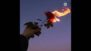 Aries ★ Zodiac Playlist [2022]