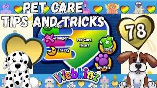 Everything you Need to Know about Filling up your Webkinz Heart | Webkinz Pet Care Guide