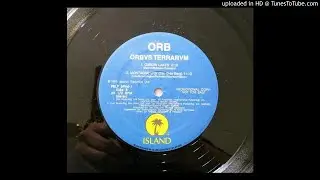 The Orb - Oxbow Lakes (8.19 Version) U.S. Promo Only LP