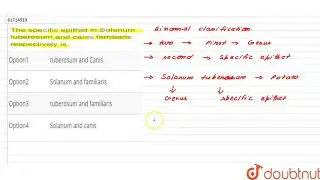 The specific epithet in Solanum tuberosum and canis familiaris respectively is