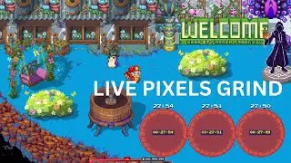Pixels Live Gameplay | Merchant Ships, Public Mines & Fishing | Latest Updates Live