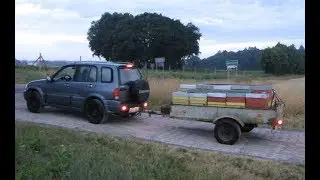 Pszczoły jadą na wycieczkę