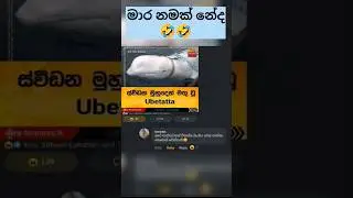 Sinhala Funny Memes 😃😂 #sinhala #shorts #funny #memes #slshorts #trending