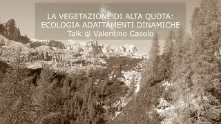 La vegetazione di alta quota | Ecologia, adattamenti, dinamiche