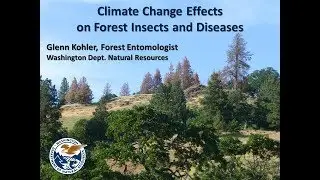 Climate Change Effects on Forest Insects and Diseases