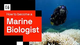 What it&rsquo;s really like to be a marine biologist | UTS