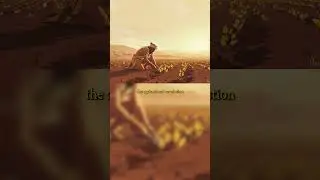 Анимированная история №3: Первое сельское хозяйство, которое накормило мир