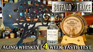 4 Week Old Whiskey | Aging Buffalo Trace White Dog Mash #1