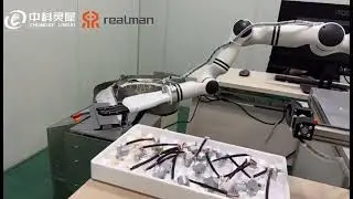 Efficient Automation  RealMan Robotic Arm +  Dexterous hands
