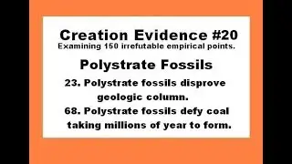 Polystrate Fossils - Creation Evidence #20
