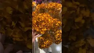 Autumn style hydrangea preserved forever flowers wholesale premium wedding home decor #sayefloral