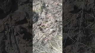 AGENCIA CNC CONTAMINACI&Oacute;N EN EL VALLE DE LUNLUNTA
