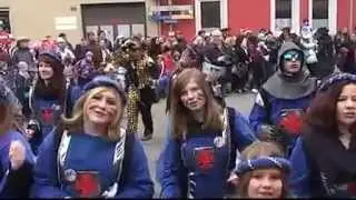 16. Februar 2015: Fastnachtszug Altlussheim